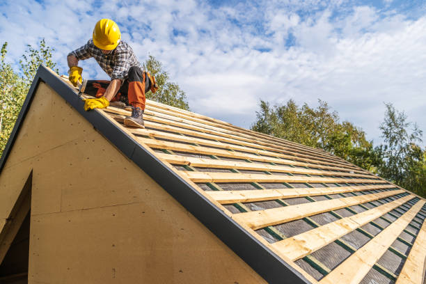Roof Gutter Cleaning in West Columbia, SC